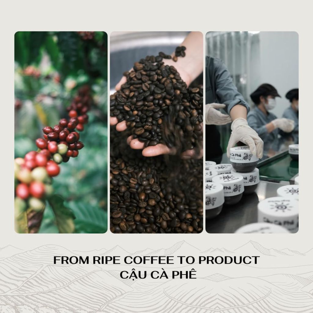 Coffee Body Scrub with Dak Lak Ripe Coffee, Radiant Skin (8.8 fl oz)