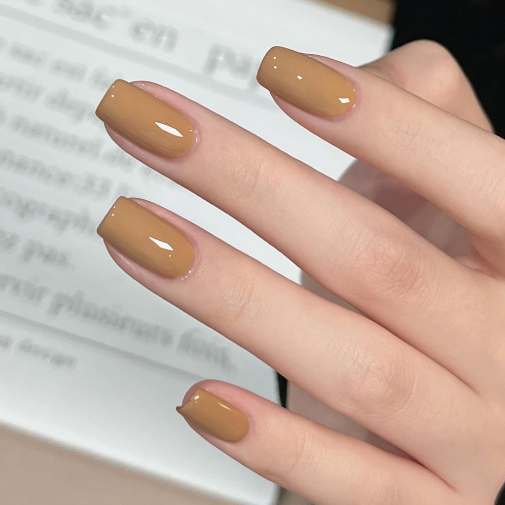 GAOY Brown Gel Nail Polish, 16ml Sheer Translucent Netural Soak Off - 3013 Milk Coffee