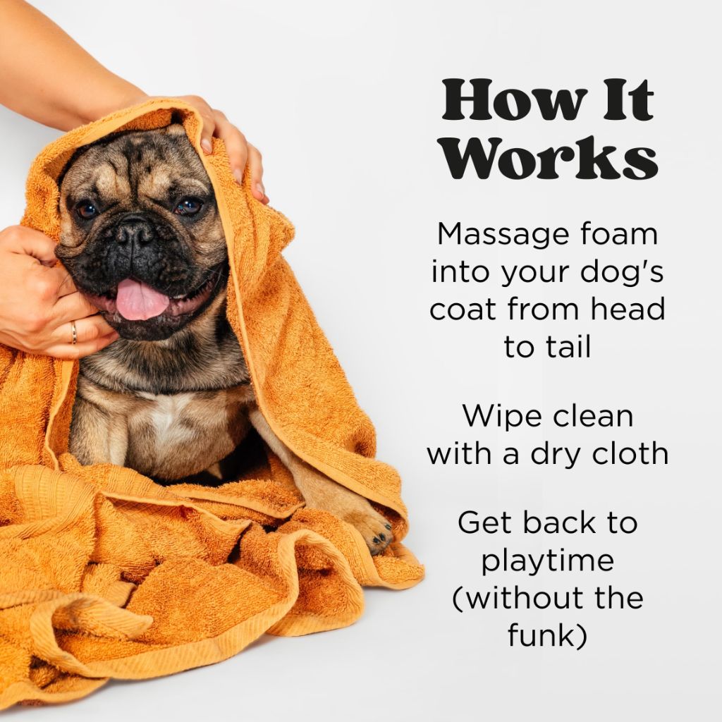 Poo-Pourri Rinse-Free Deodorizing Dry Shampoo for Dogs & Cats – Pineapple, Jasmine & Pear