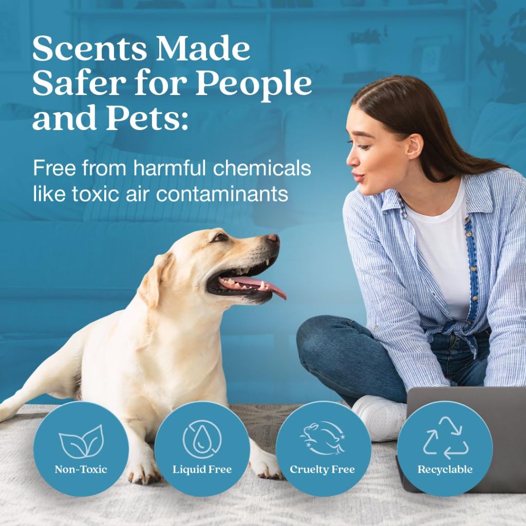 Enviroscent Non-Toxic Air Freshener Plug Hub® Warmer Refillable Kit, Rainwater & Bamboo Scent
