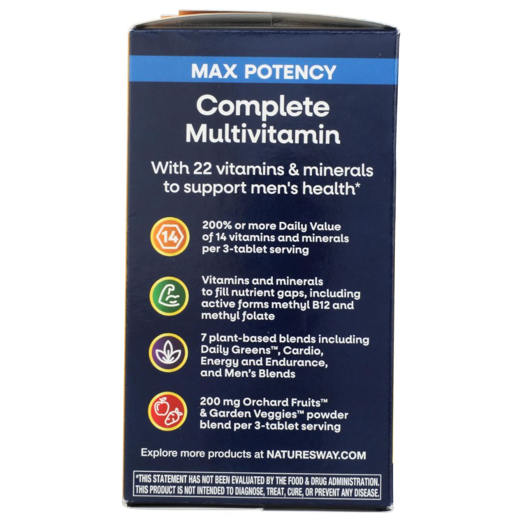 Nature's Way, Multivitamin Alive Energizer Mens, 90 Capsules