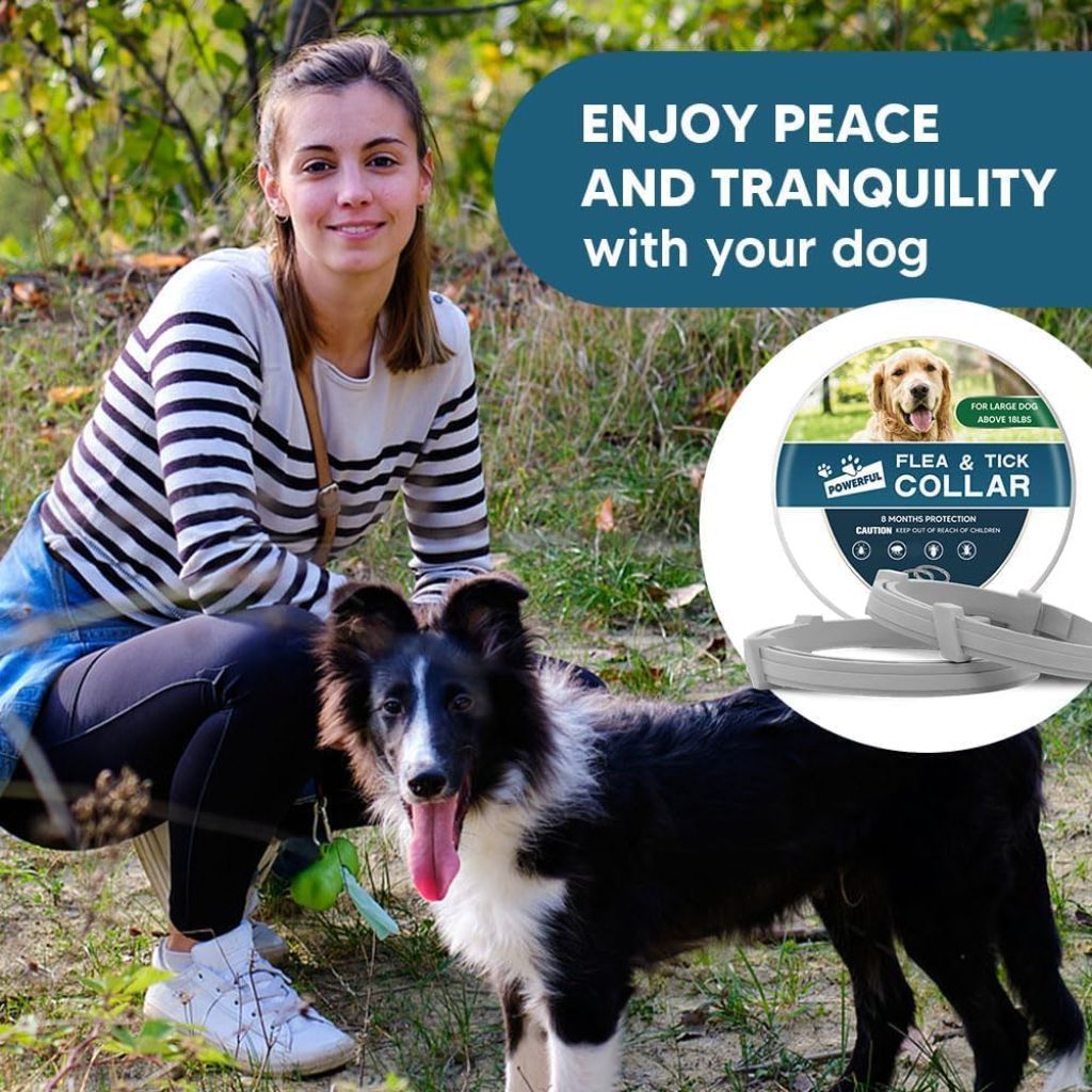 Collar for Dogs, Dogs Collar, 8 Months Protection, Adjustable Safe Dog Collars, Naturally, Effectively-2 Count