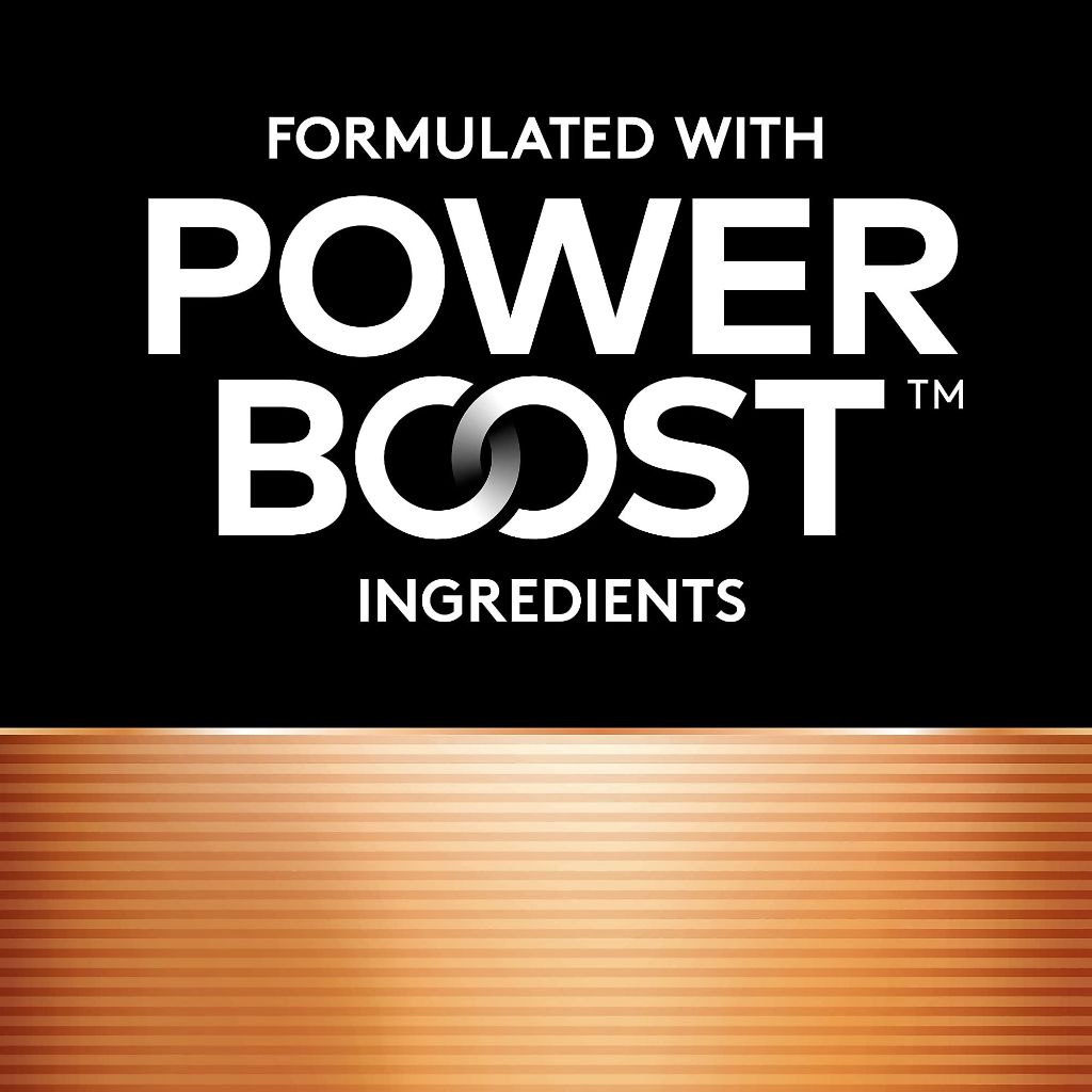 Duracell PowerBoost Alkaline Batteries - AAA - 24ct.