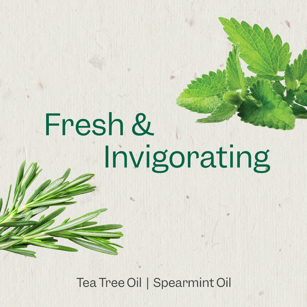 Renpure Tea Tree & Mint Body Wash- 24 Fl Oz each, Single Pack