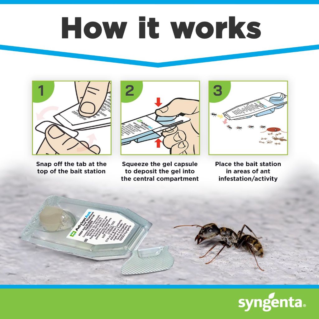 Syngenta Advion Ant Gel Station Insecticide, Ready-to-Use Gel Bait with Indoxacarb - 1 Box (3 Total Stations)