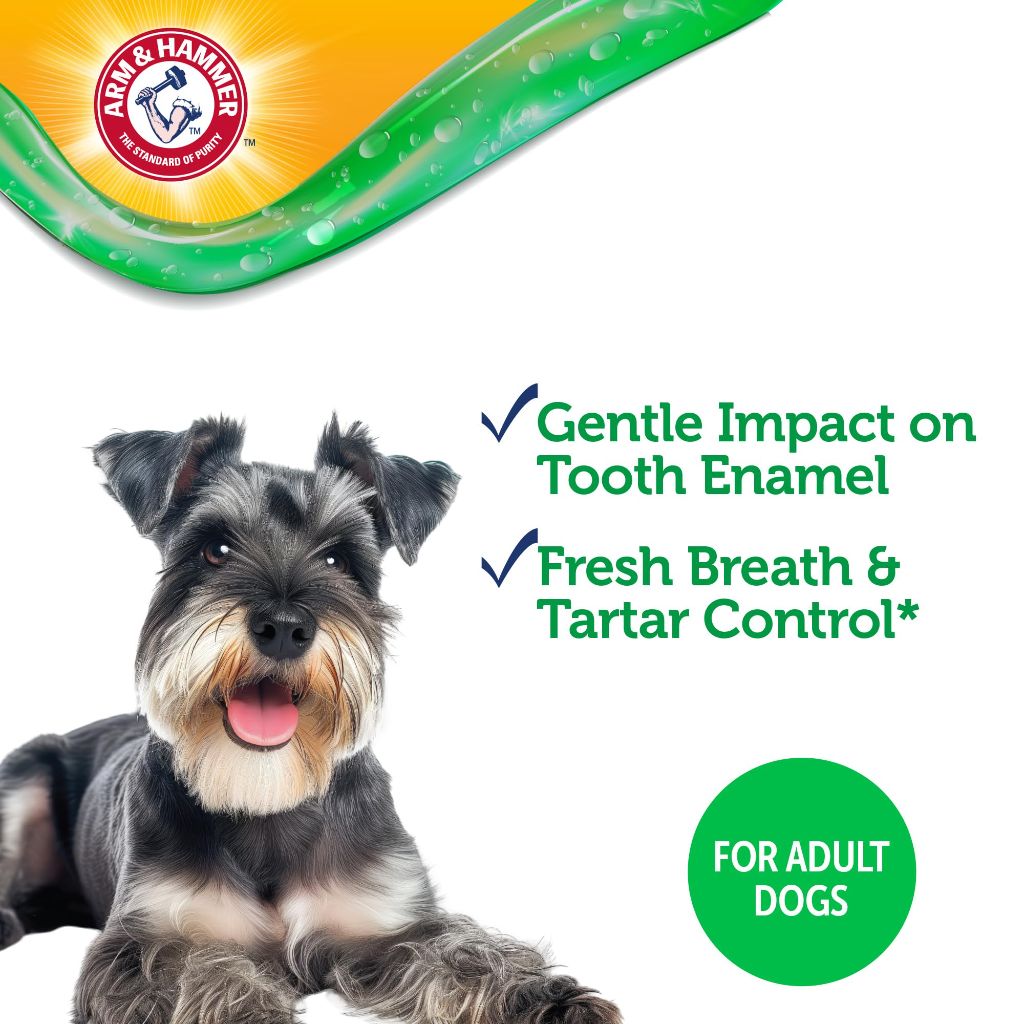Arm & Hammer Complete Care Dental Gel Dog Toothpaste, Chicken Flavor, 2.5 Oz