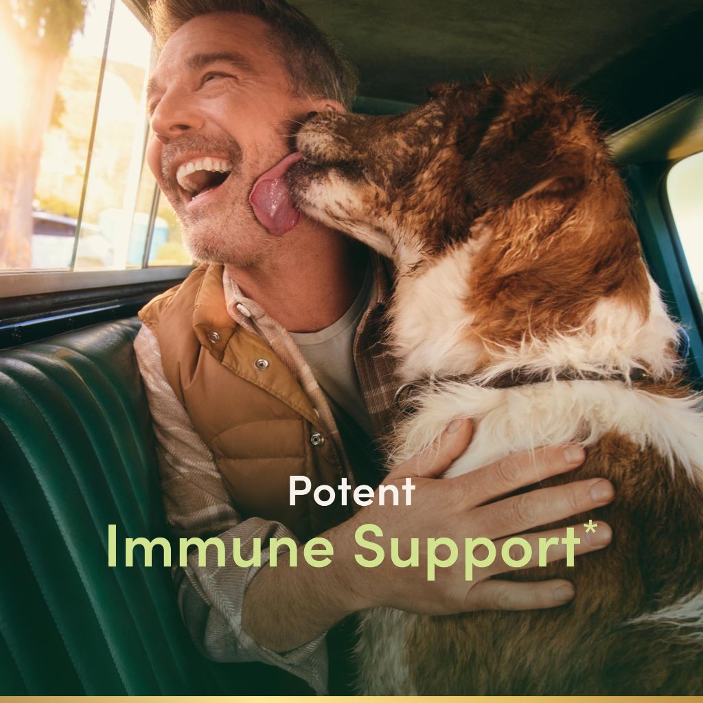 Nature’s Bounty Quercetin, Immune Support, 500mg, 60 count