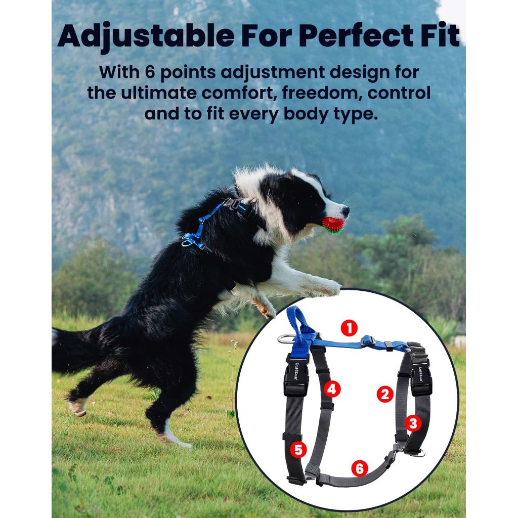 LufeLux Non-Restrictive Dog Harness Medium No Pull Harness, Blue/Black