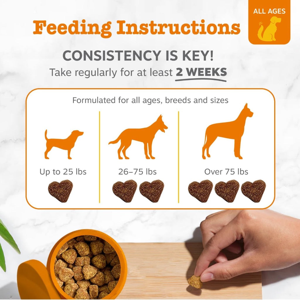 Zesty Paws Probiotics for Dogs with Digestive Enzymes - Pumpkin, 90 Soft Chews