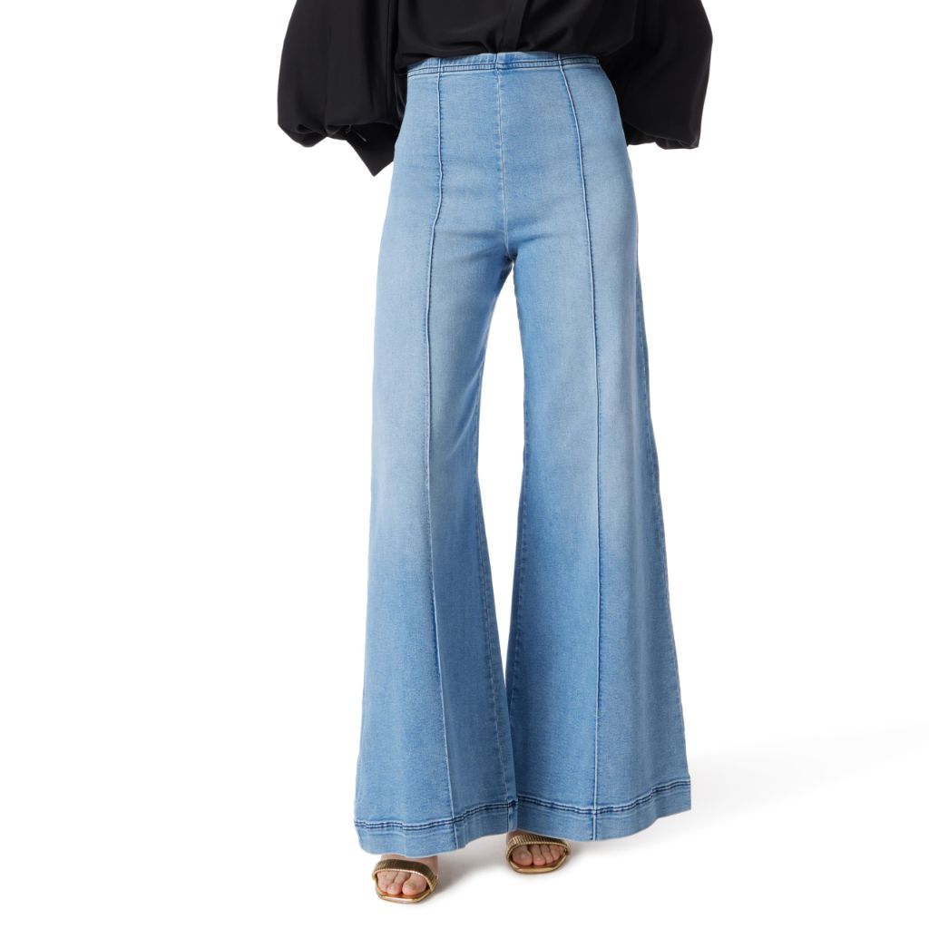 DO by Dee Ocleppo Womens Dee High Rise Pull On Pin Tuck Pant Standard, Vintage Blue Wash - size XL