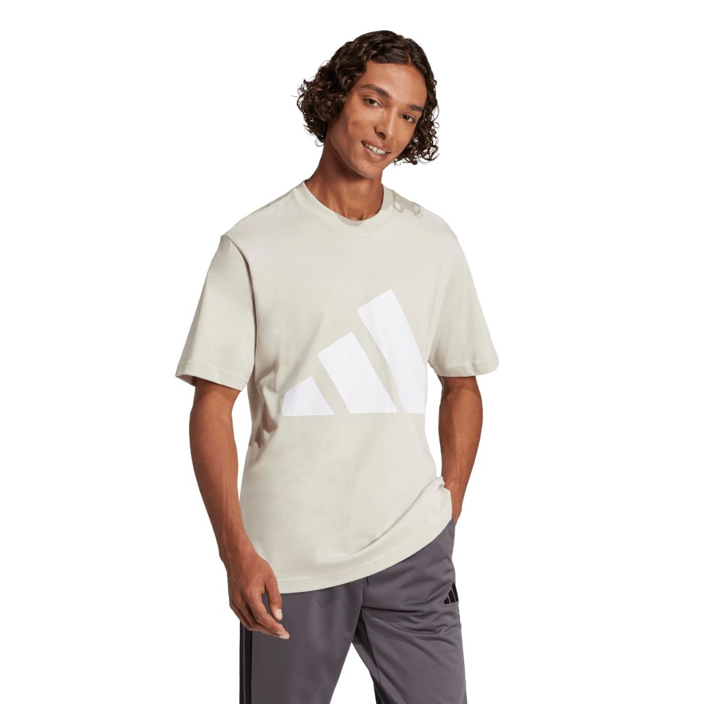 adidas Men's Essentials Big Logo T-Shirt - Wonder Alumina/White, Size Medium Tall