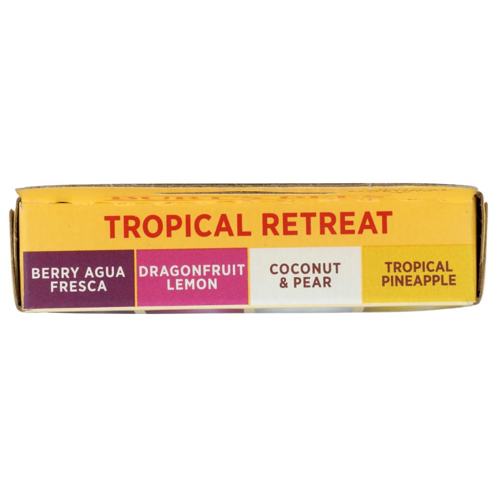 BURTS BEES Tropical Assortment Lip Balm, 0.6 OZ