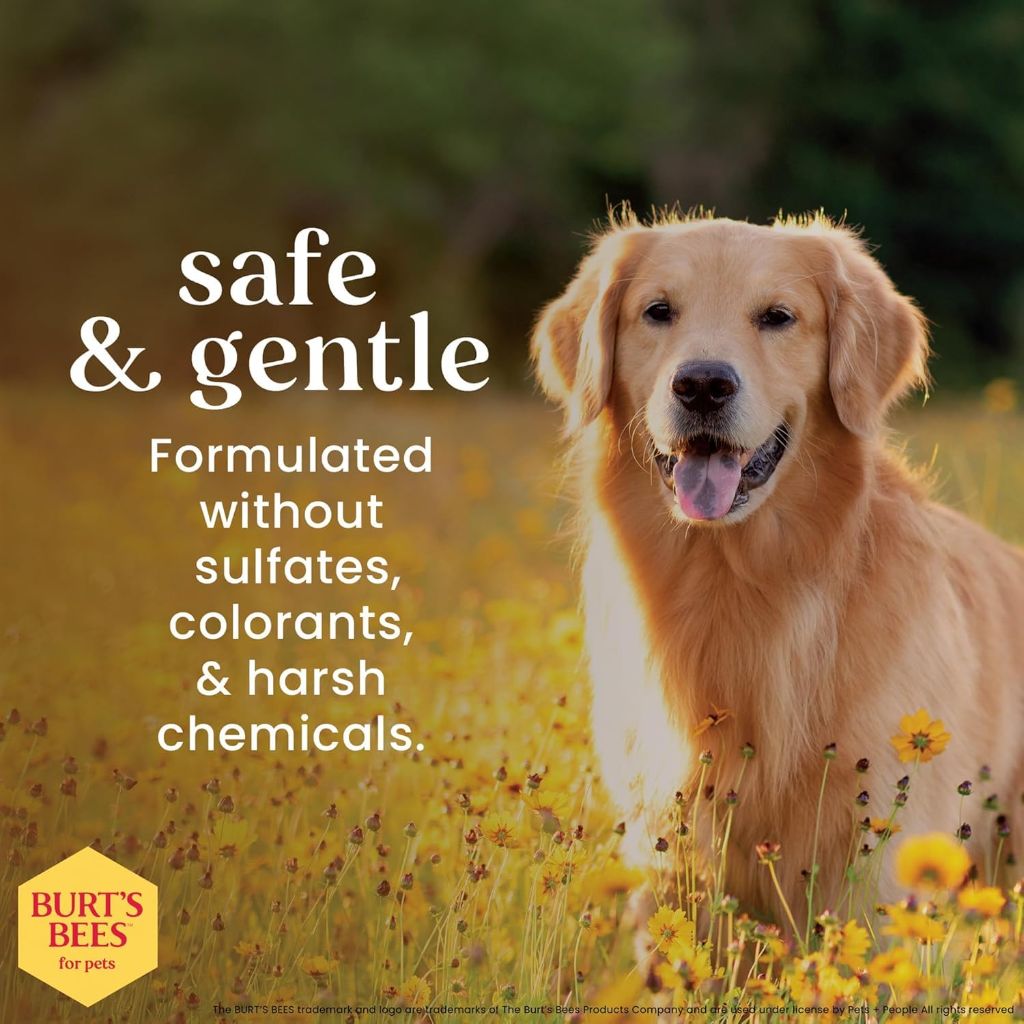 Burt's Bees for Pets Deodorizing Dog Shampoo with Apple and Rosemary, 16 Fl Oz