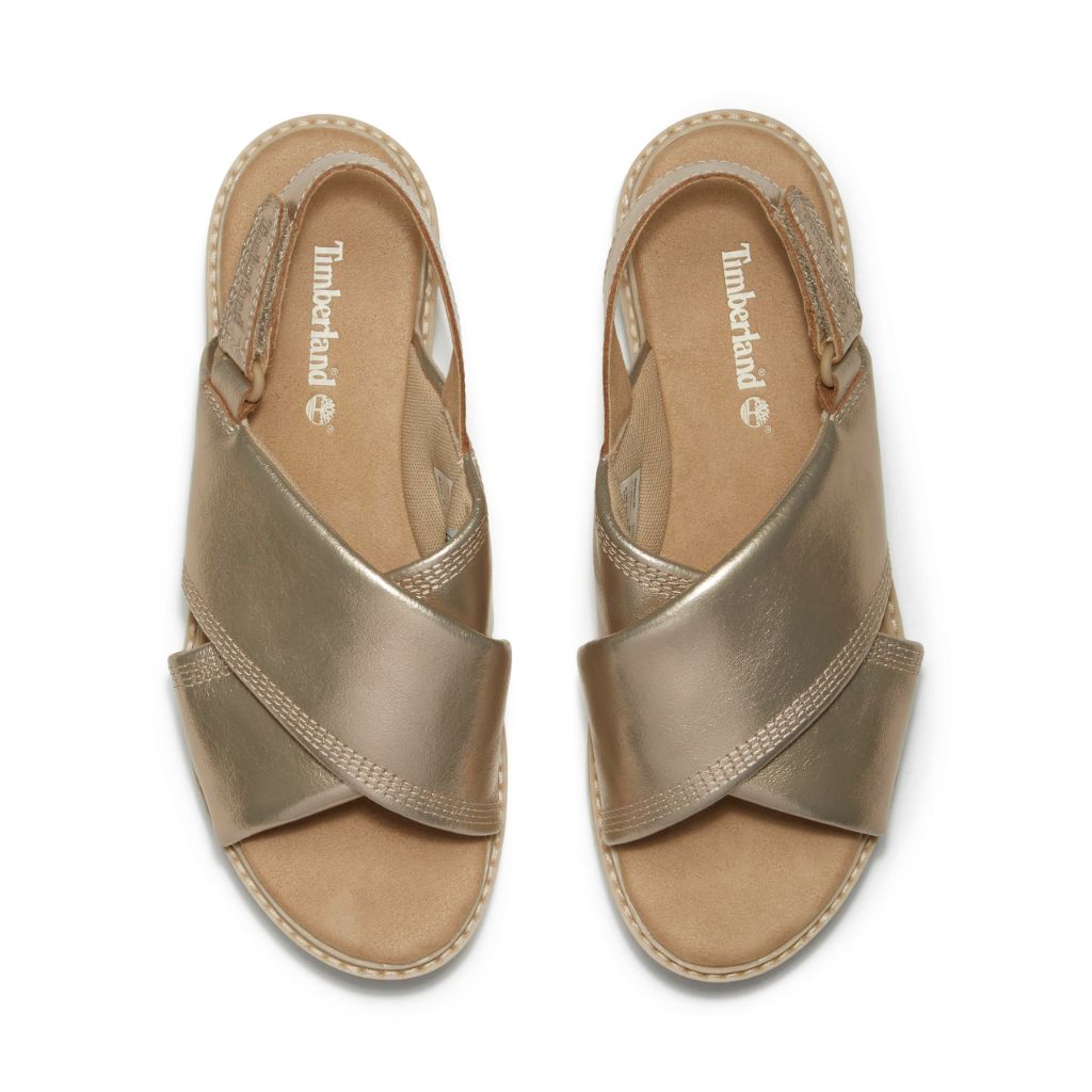 Timberland Women's Safari Dawn Backstrap Sandal, Gold Metallic, 9.5 Medium