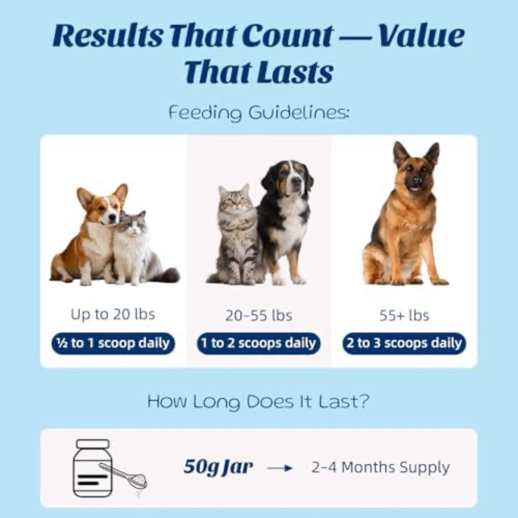 Dog Dental Cleaning Powder – Fresh Breath & Tartar Control Formula with Nordic Ascophyllum Nodosum and Enzymes, 50 g (50 Servings)