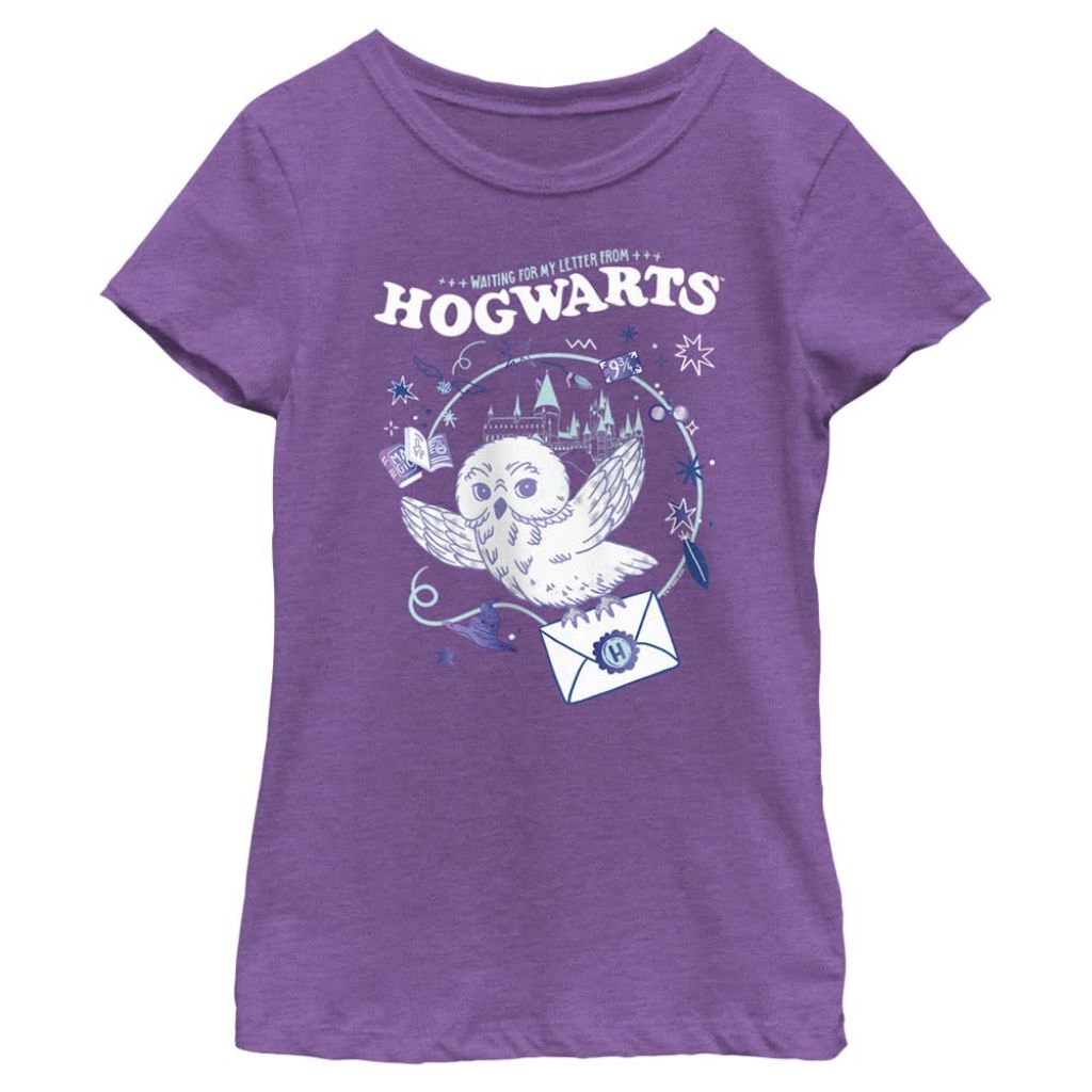 Harry Potter Girl's Hogwarts Messenger Owl T-Shirt - Pur Berry, XL