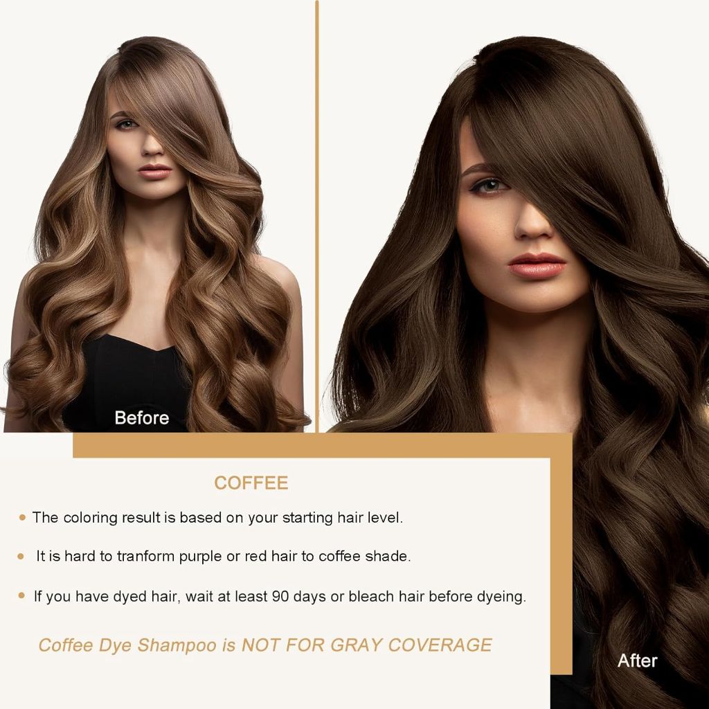 Brown Hair Dye Shampoo, 16.90 Fl