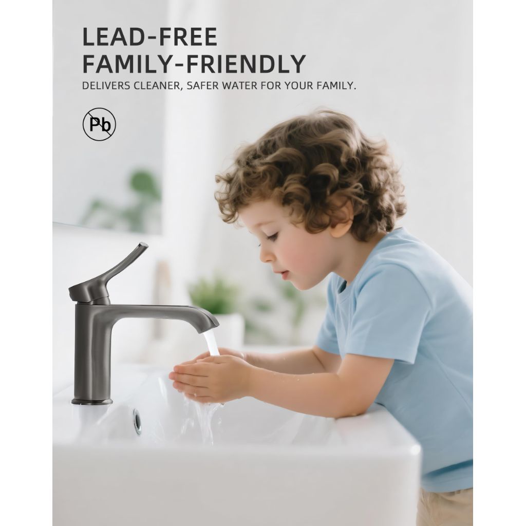 BELZ Bathroom Faucet 1 Hole Brushed Grey, Modern Vanity Faucet for Bathroom Sink, Lead-Free Single Handle Basin Faucet with Pop-up Drain