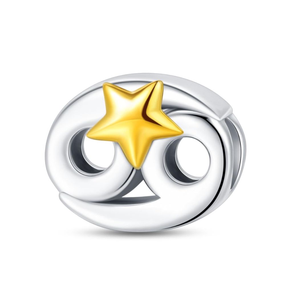 HUIPOJUE Silver Charms for Pandora Bracelets and Necklaces 12 Horoscope Pendant for Women Jewelry Gifts