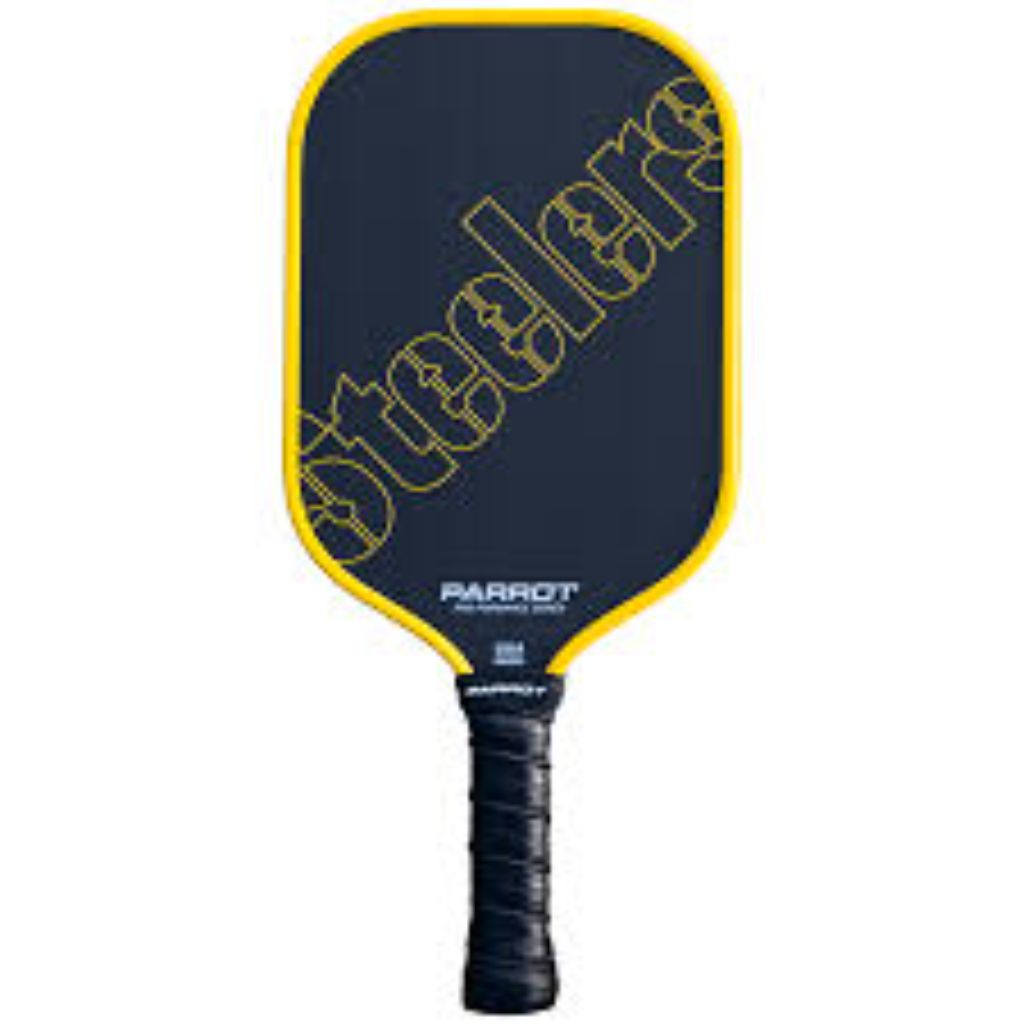 Team Golf Parrot Paddles Pickleball Paddle - NFL Pittsburgh Steelers (Wordmark)