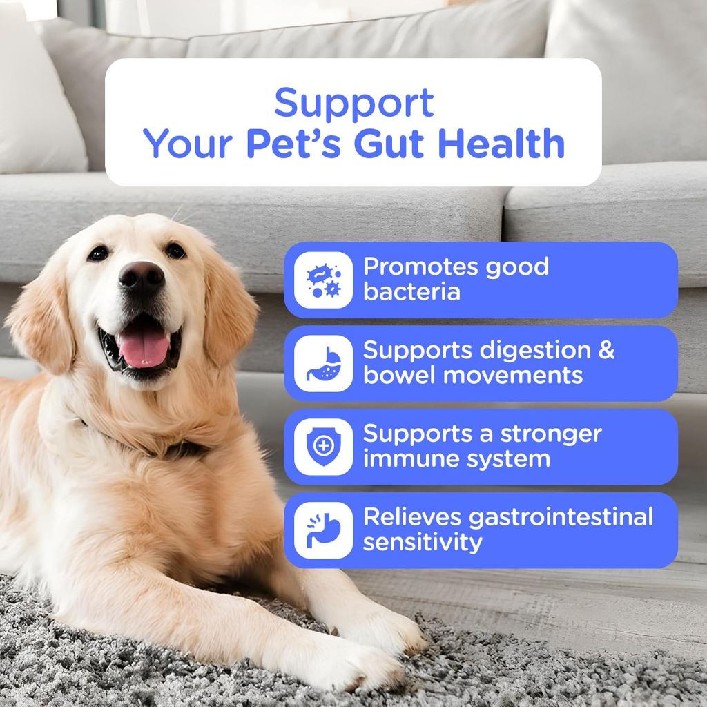 Purity Paws Pre & Probiotics Soft Chews for Dogs - Beef Flavor, 120ct