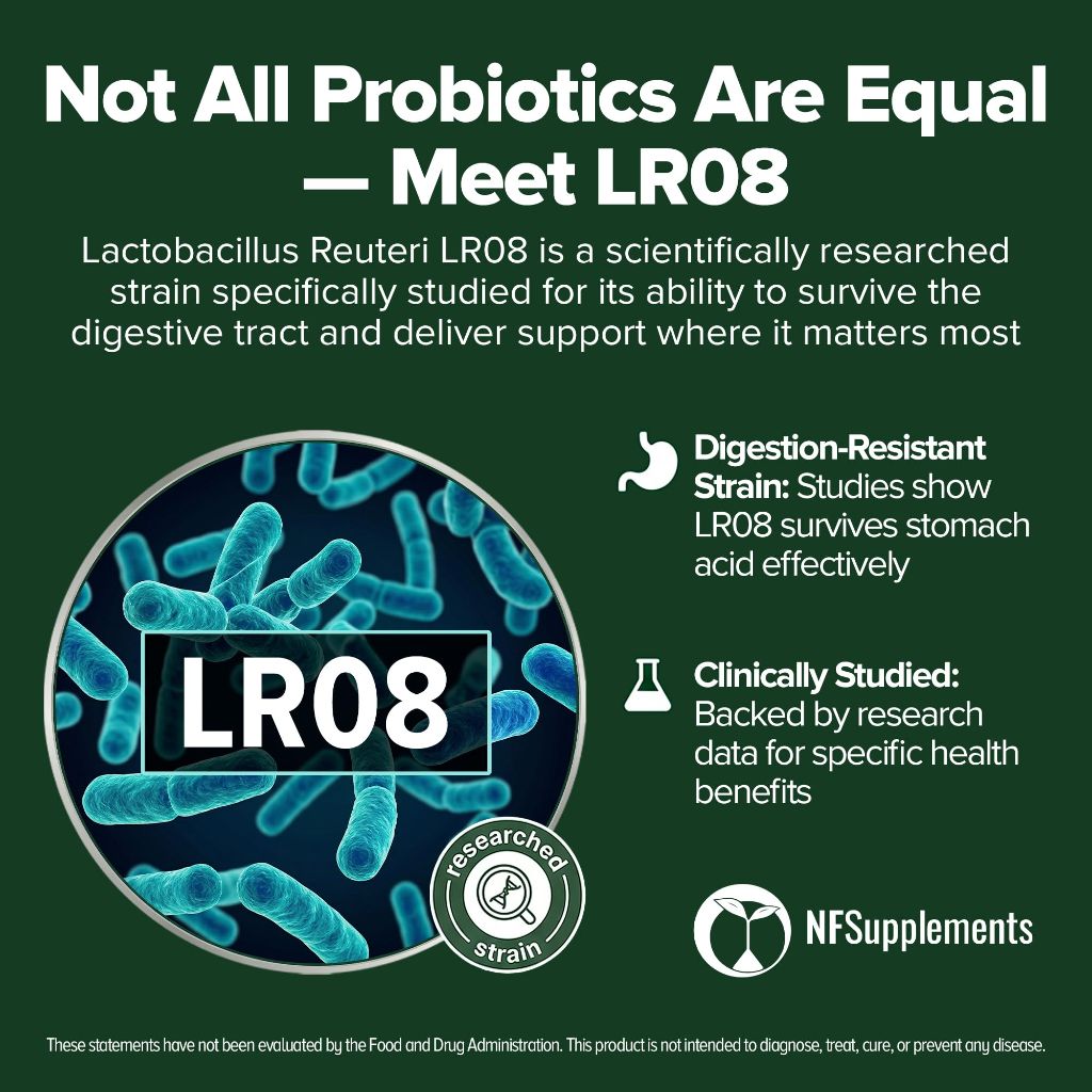 Lactobacillus Reuteri Probiotic 240 Tablets (4 Month Supply)