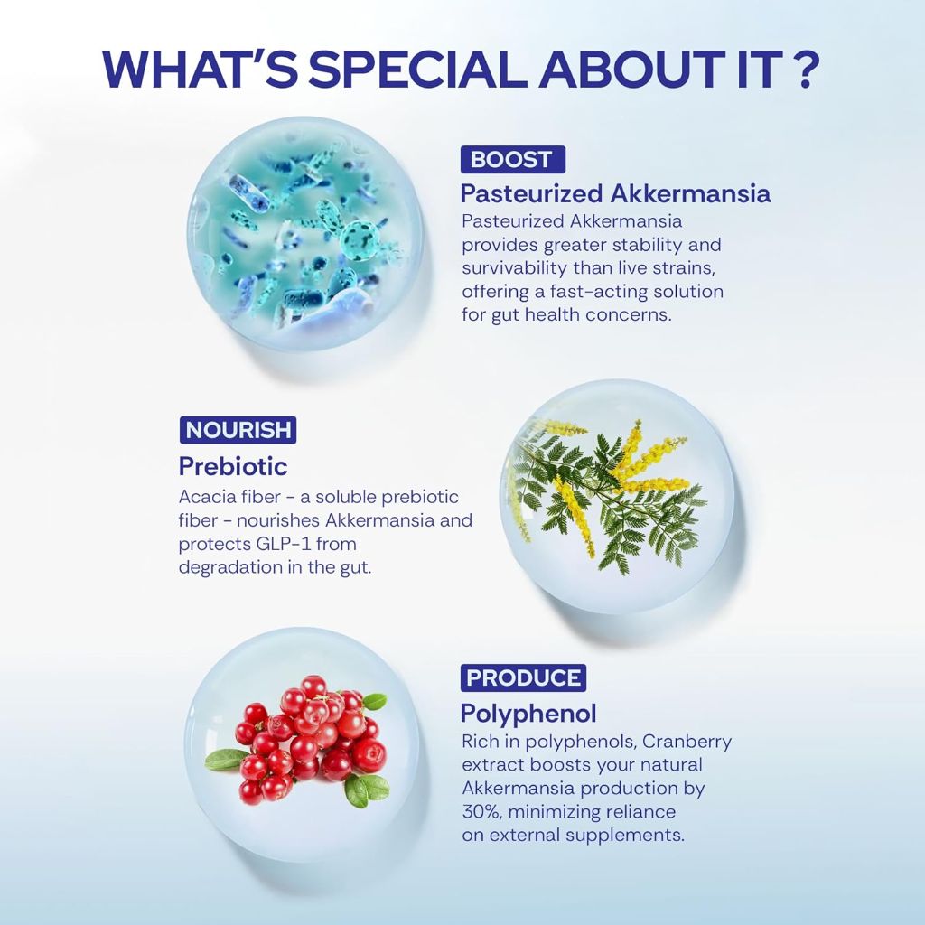 Akkermansia Probiotic with Prebiotic & Polyphenol Cranberry - 60 Delayed Release Capsules