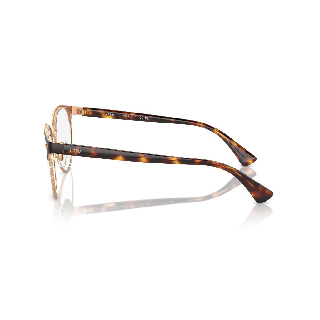 Polo Ralph Lauren PH1226 1534 Eyewear Frames - Semi-Shiny Dark Brown, 54 mm