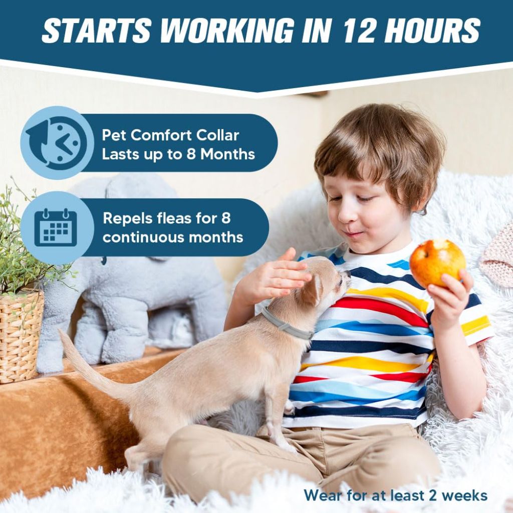 AMDEIUR Flea Collar for Dogs, Flea and Tick Collar for Small Dogs, People/FET/Plant Friendly - 2P