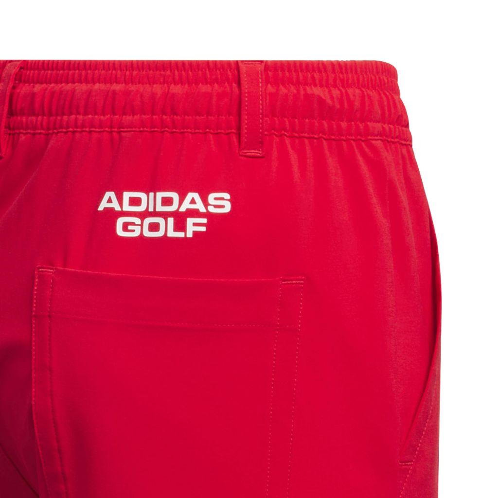 Adidas Boy's AEROREADY Graphics Short, Pure Ruby, Medium