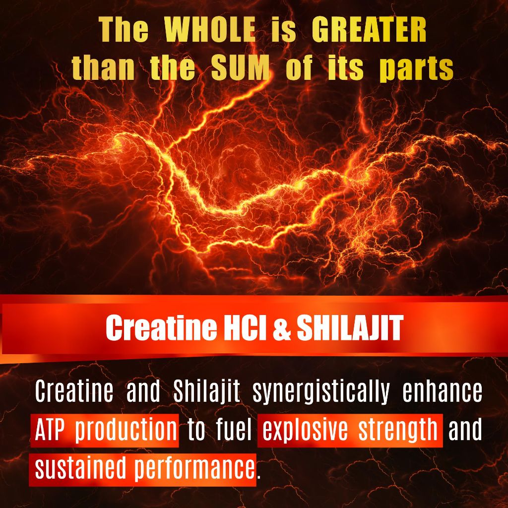 Creatine HCL with Shilajit - Workout Supplement for Adults - 120 Caps