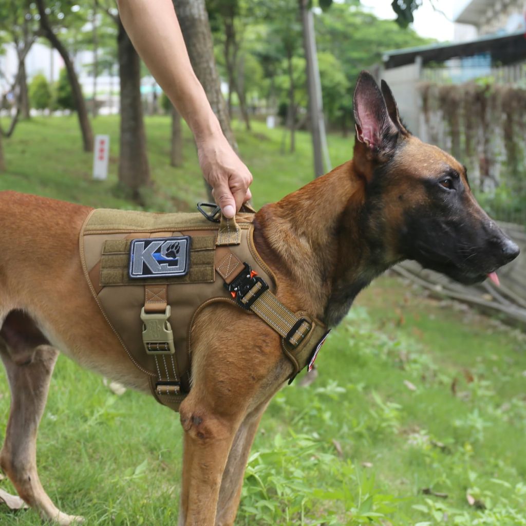 SZ L, ICEFANG Tactical Dog Harness, 2X Metal (Brown)