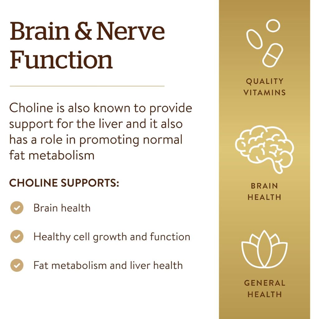 Solgar Choline 350 mg, 100 Vegetable Capsules