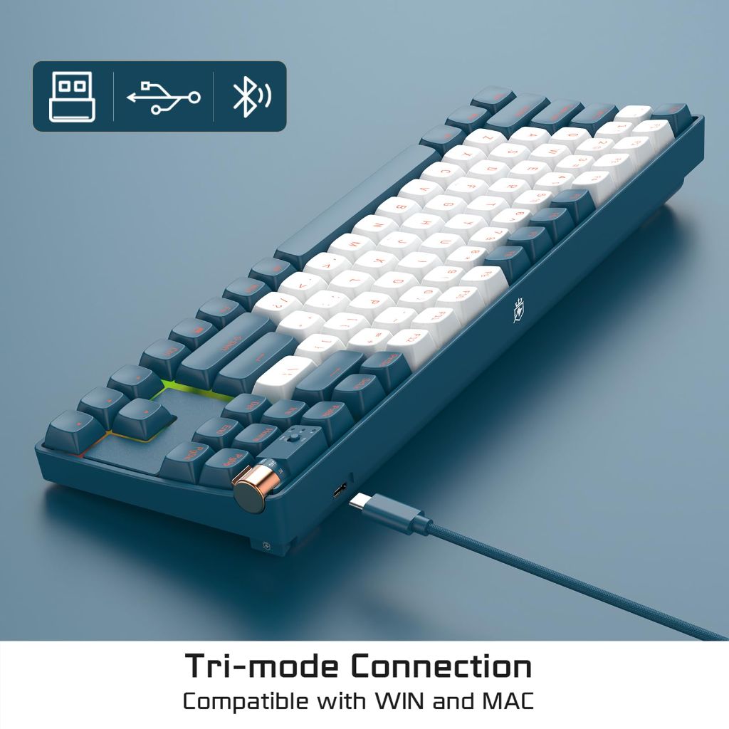 ROYALAXE R87 Wireless Mechanical Keyboard, Hot Swappable | Whale Blue