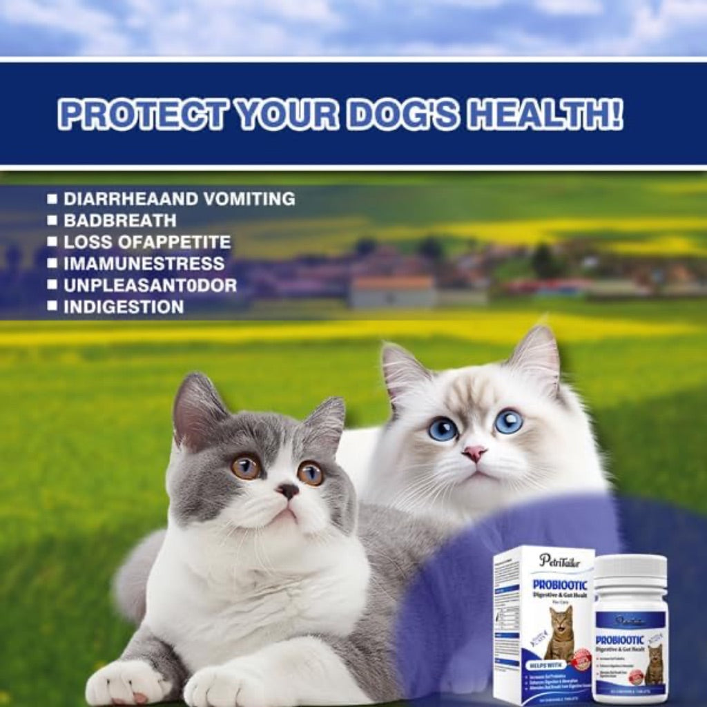 Probiotics for Cats – Digestive Enzymes with Prebiotics for Gut Health, Constipation & Diarrhea Relief, Immune & Itch Support