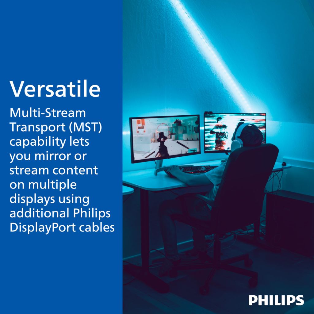 Philips High-Speed Display Port Cable, 6 Ft Cord