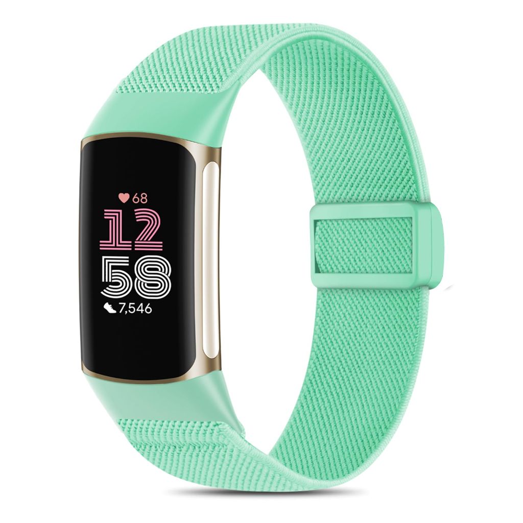 EverAct Magnetic Stretchy Nylon Replacement Band for Fitbit Charge 6/Fitbit Charge 5 - Seafoam Green