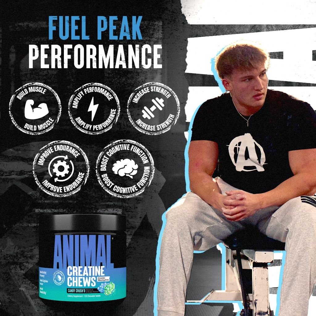 Animal Creatine Chews – New Flavor Candy Crush’d | 120 Tablets
