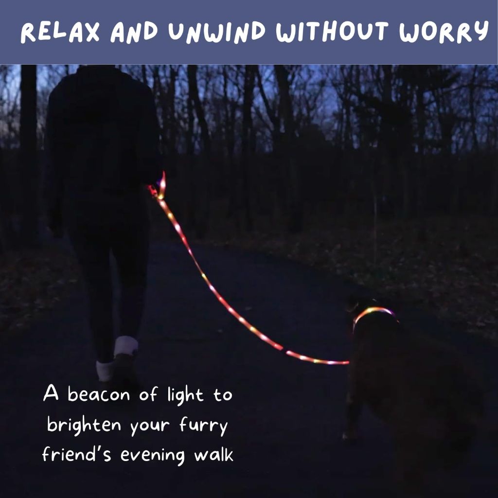 LED Dog Leash  6 Foot Dog Leash