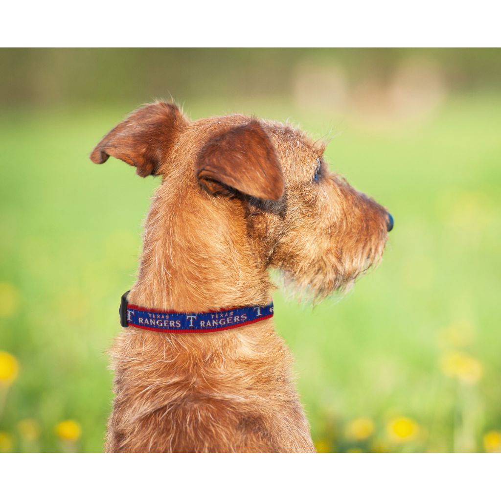 MLB Texas Rangers Licensed PET COLLAR- Heavy-Duty, Strong, and Durable Dog Collar