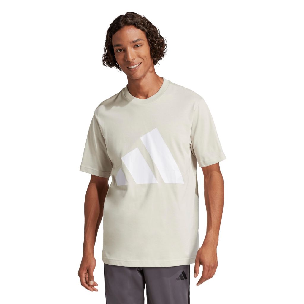 adidas Men's Essentials Big Logo T-Shirt - Wonder Alumina/White, Size Medium Tall