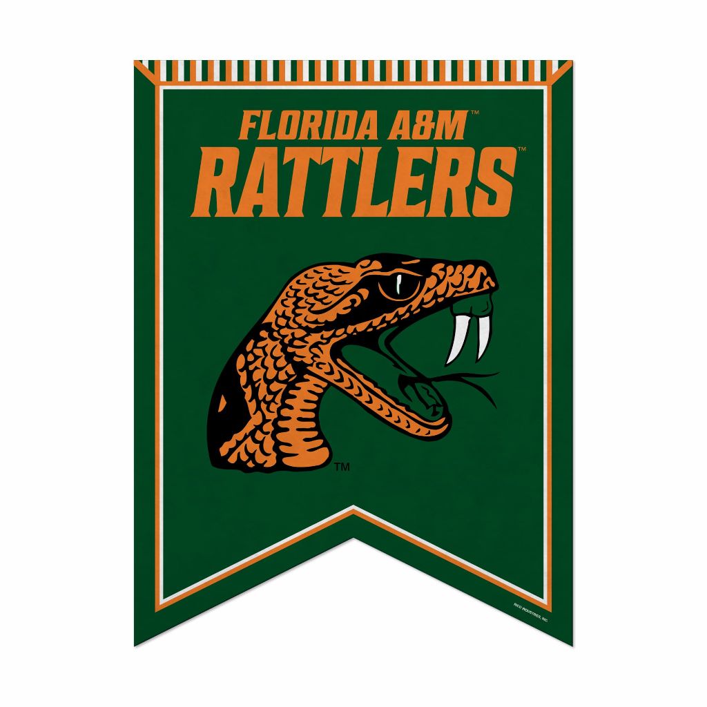 Rico Industries NCAA Georgia Southern Eagles 18" X 24" Rafter Felt Pennant