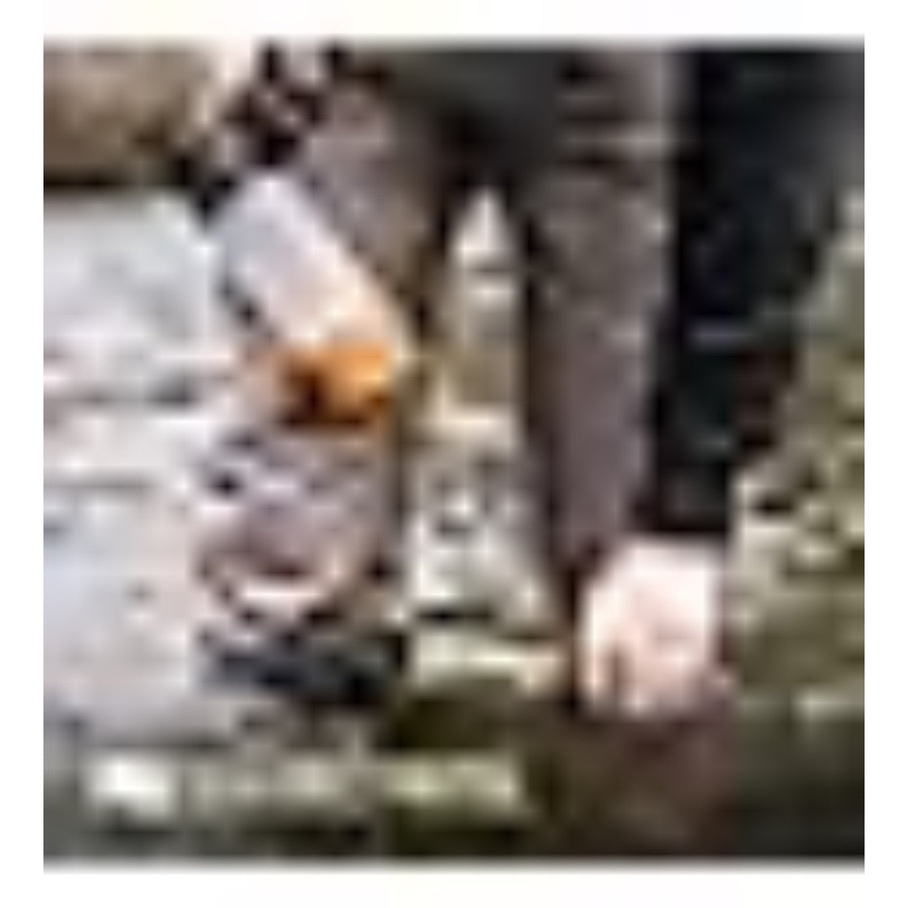 GRAYL GeoPress 24 oz Water Purifier Bottle - Filter for Hiking, Camping, Survival, Travel (Black Camo)