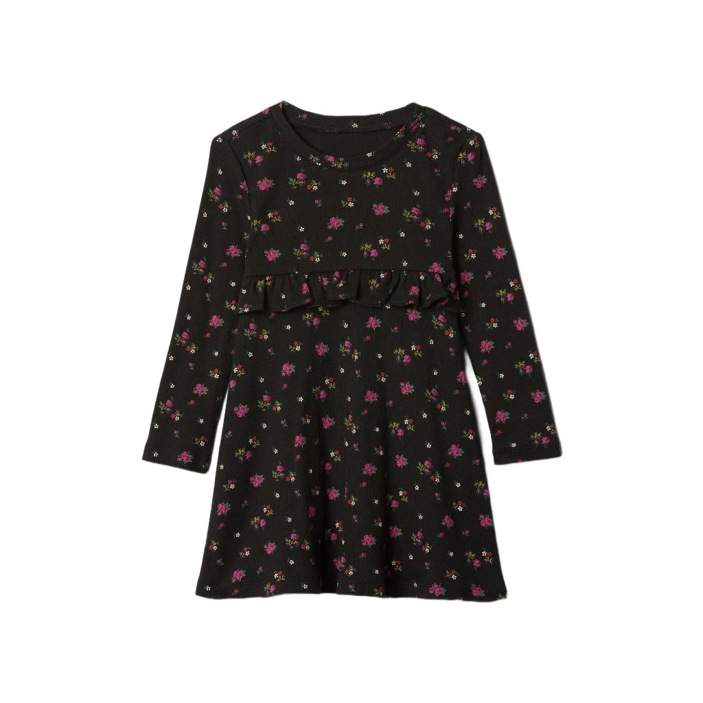 GAP Baby-Girls Longsleeve Fit & Flare Sweater Dress, Black Floral, 6-12 Months