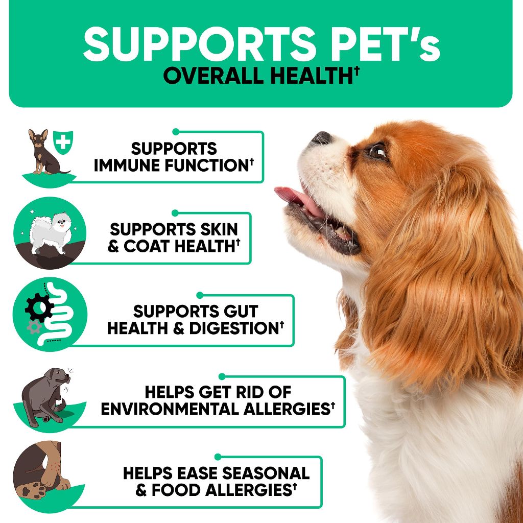 Natural Dog Allergy Chews for Dog Itch - 180 Anti Itch Immune Treats for Dogs Licking Paws, Antihistamine