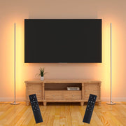 Marlrin Minimalist Corner Floor Lamp 2-Pack, 2700K-6500K Dimmable with Remote Control, 57.8" (Silver)
