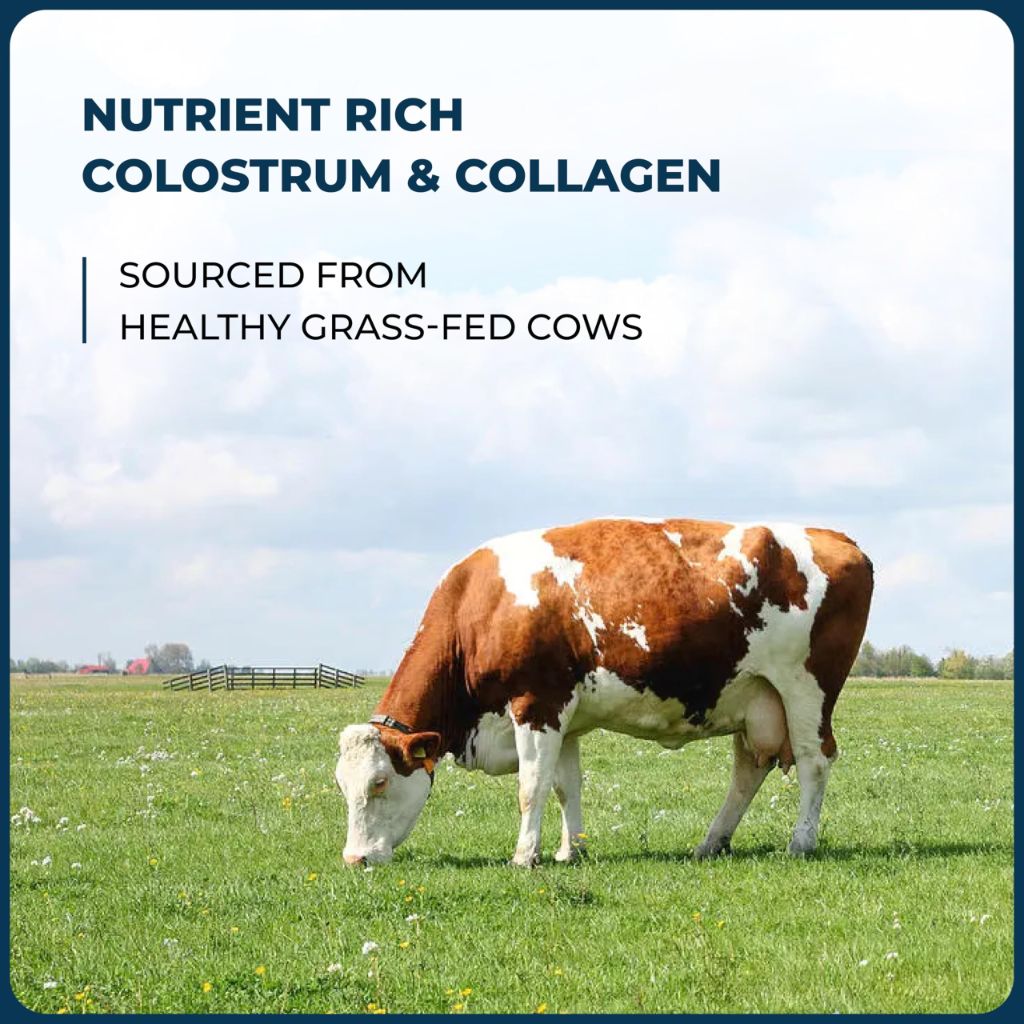 Sandhu's Bovine Colostrum with Collagen Powder  | 45 Servings Large Pack | Nutrition for Women