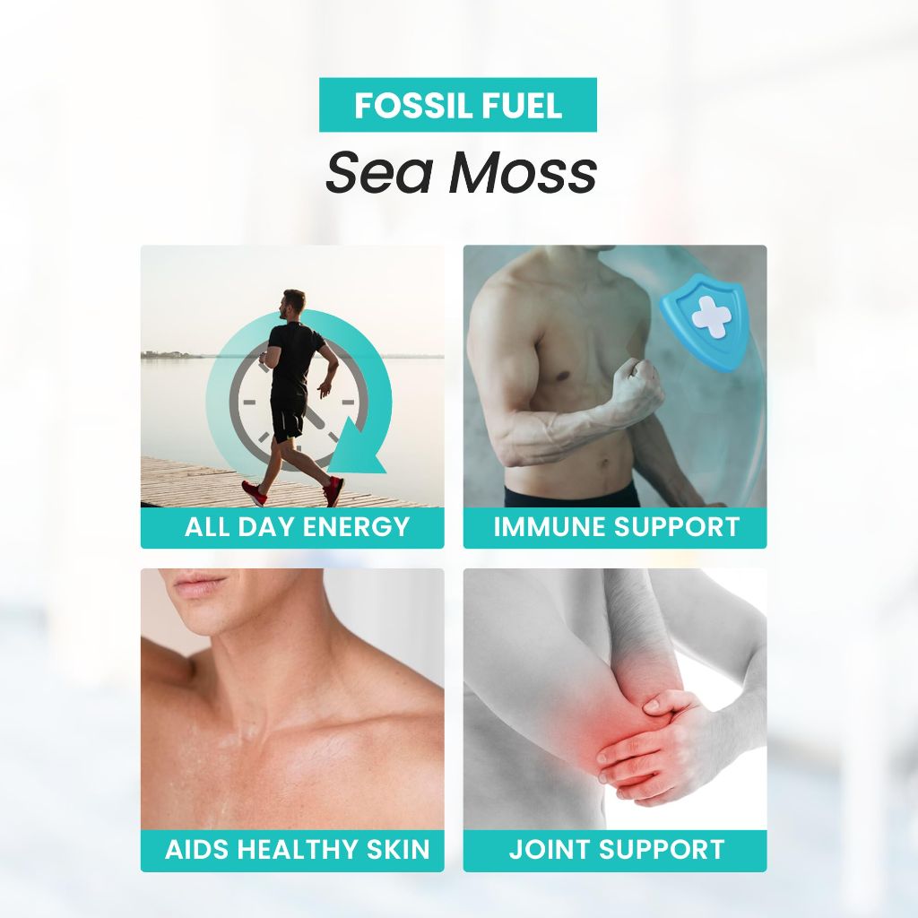 Fossil Fuel Organic Superfood - Sea Moss (60 Capsules)
