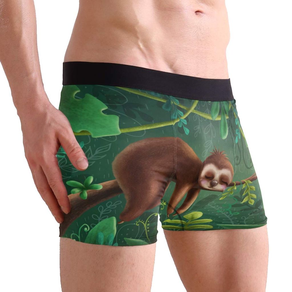 ZZKKO Sleeping Sloth Mens Boxer Briefs Underwear Breathable Stretch Boxer Trunk with Pouch L Green