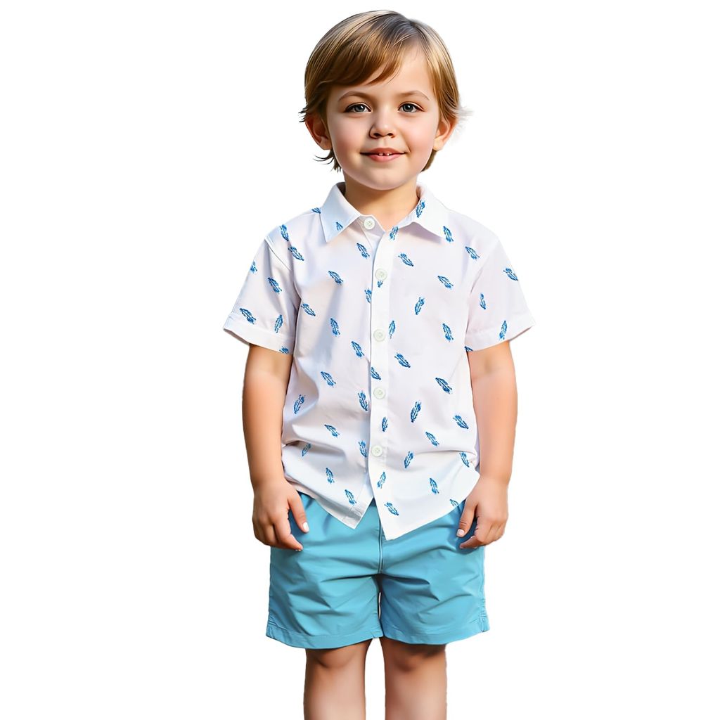 Boys Hawaiian Casual Outfits 2 Piece, Printed Short Sleeved Shirt and Blue Shorts Beach Vacation Shirt for Kids 4Y